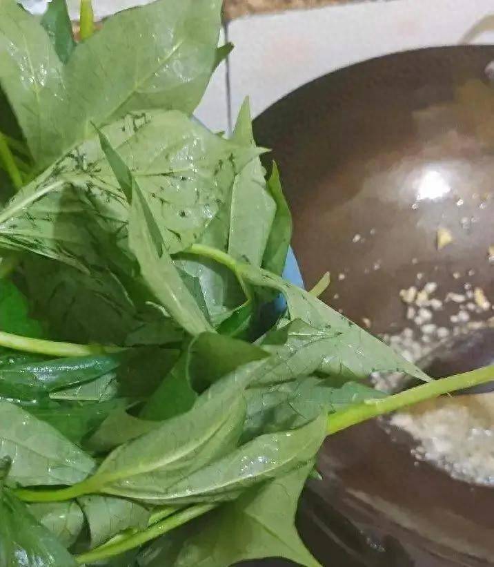 原创            立秋后大量上市，建议中老年人多吃，防秋燥、顾脾胃，慢慢养阳气