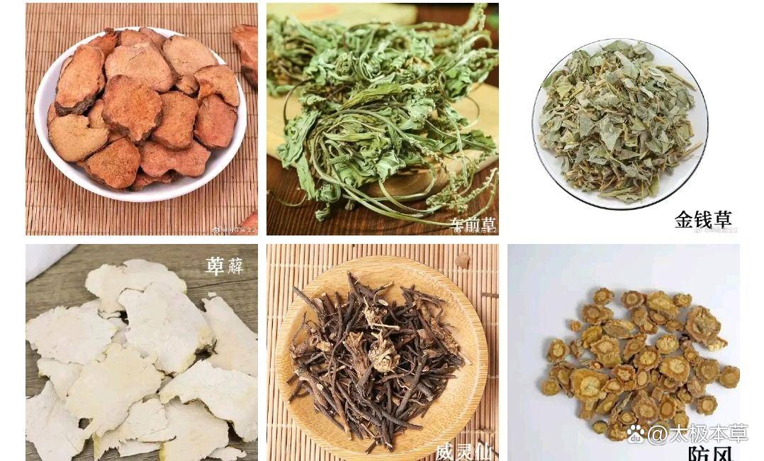 原创            6味常用中草药，辅助调理高尿酸、痛风