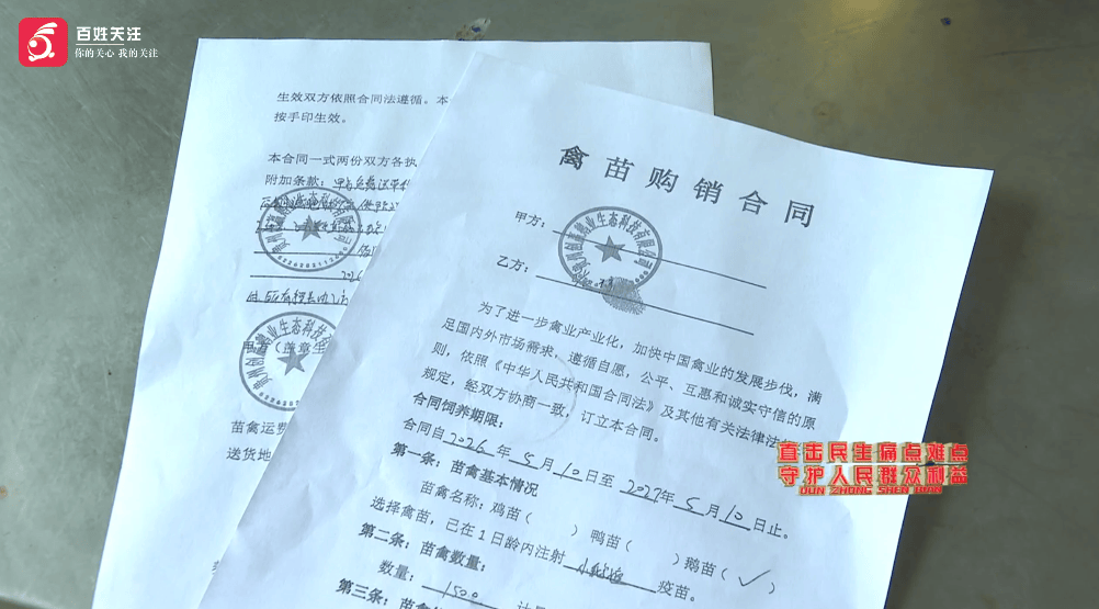 文章配图-1
