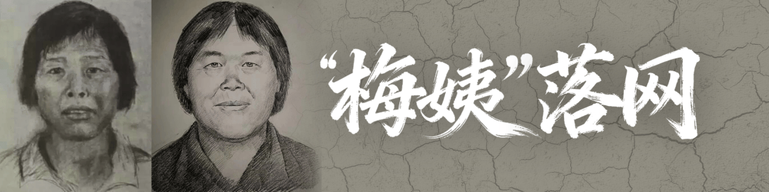 “梅姨”被公诉！被拐孩子父亲发声