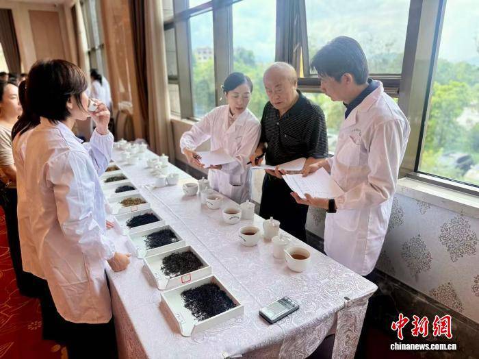 两岸茶人云南茶乡“斗”茶记：淡看胜负 相知为要