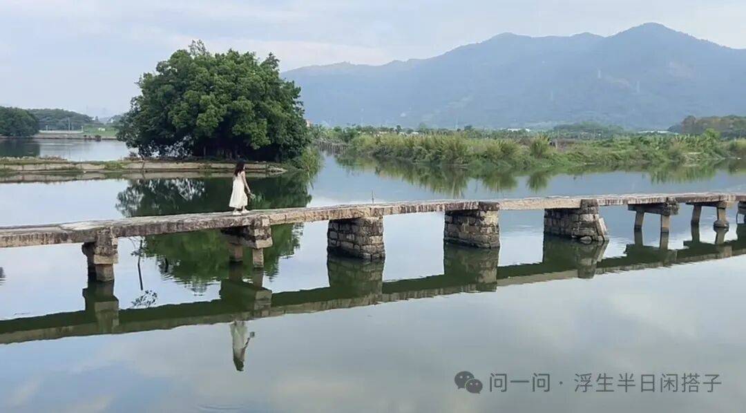 文章配图-3