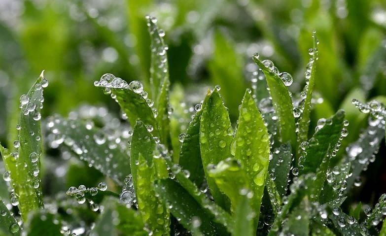 问康有道｜白露节气养生 牢记“防寒润燥”四字诀