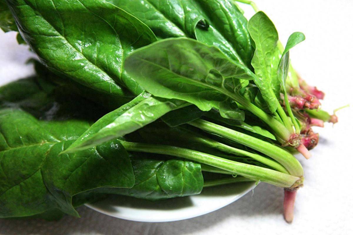 
        菠菜立大功！调查研究发现：适量食用菠菜或许有这5大益处