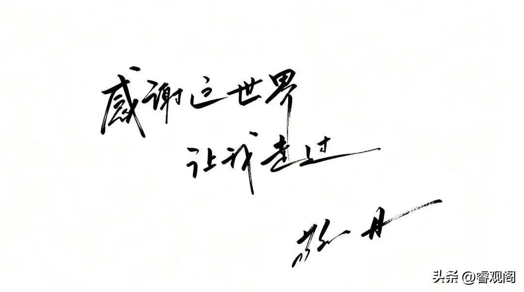文章配图-18