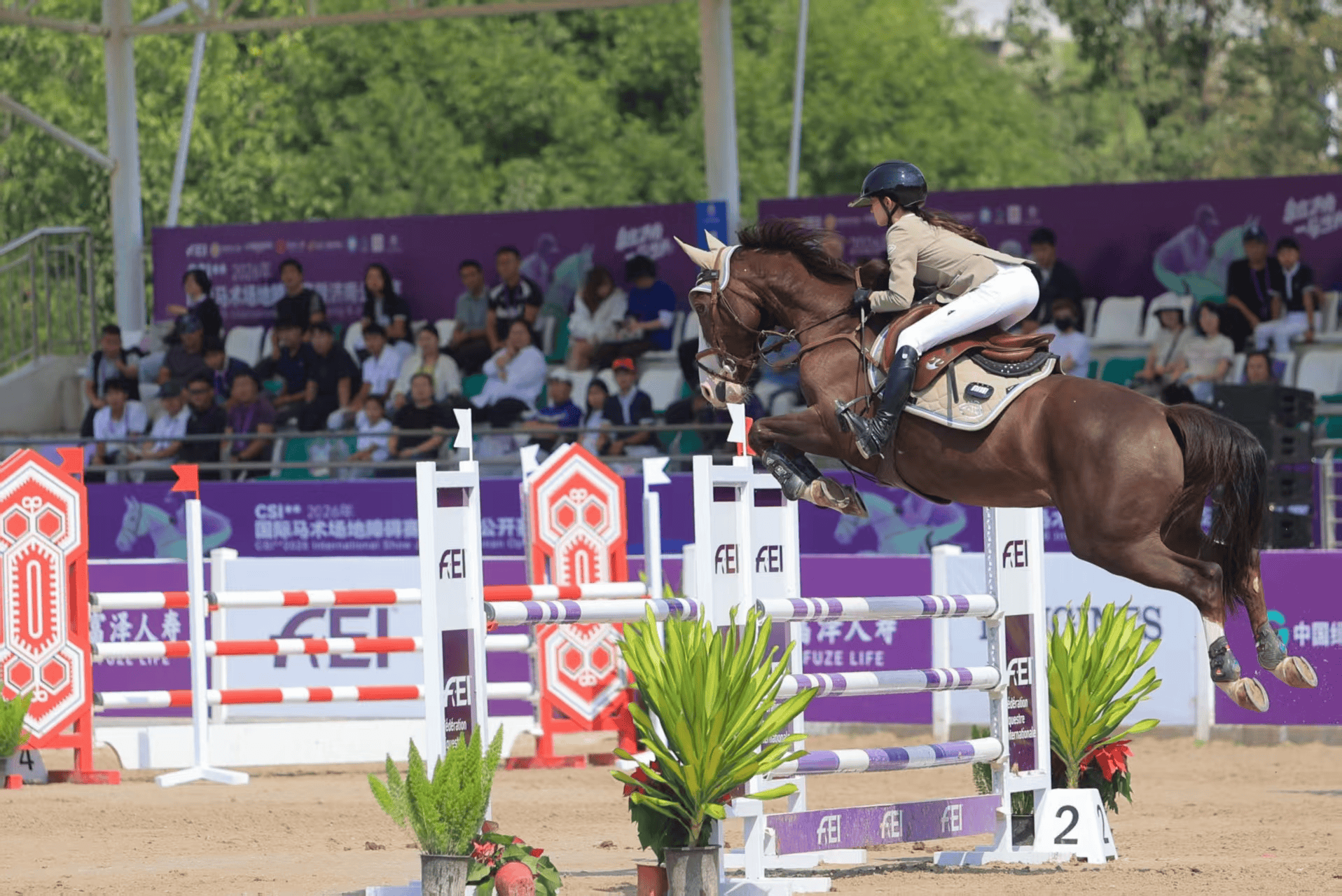CSI**2026年国际马术场地障碍赛暨济南公开赛启幕
