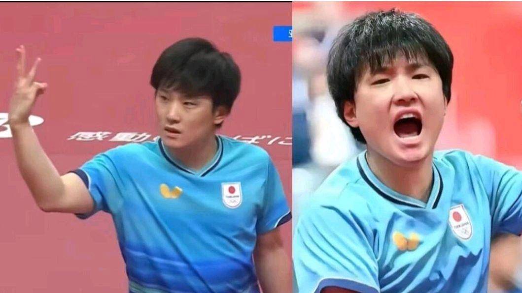 看懂张本智和的庆祝,才懂国乒男团这次输球的五味杂陈