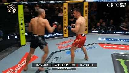 ufc终极格斗冠军2下载