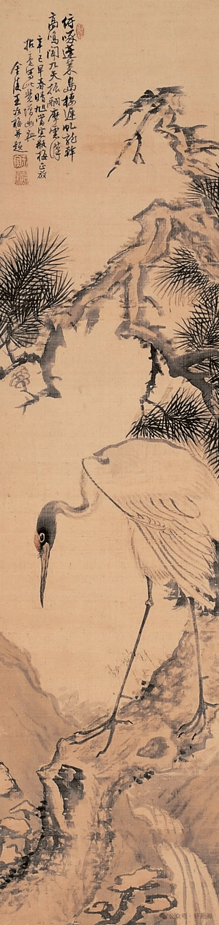文章配图-1