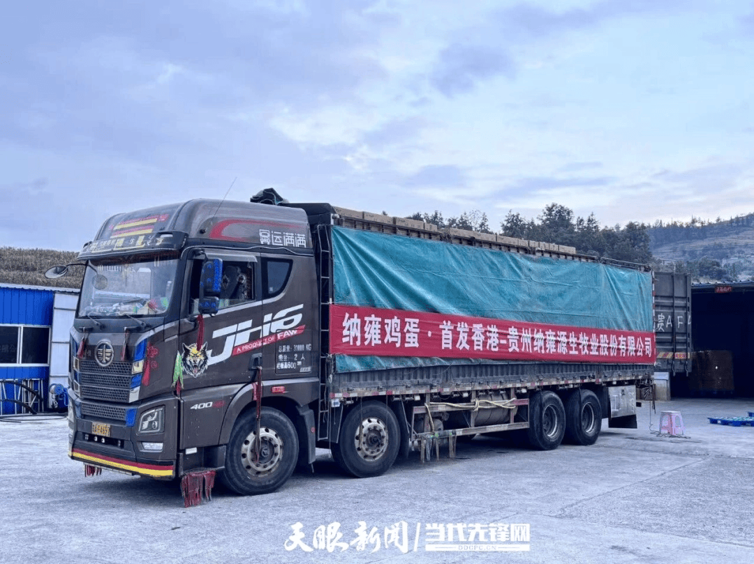 首单27万枚！纳雍鲜鸡蛋卖到了香港