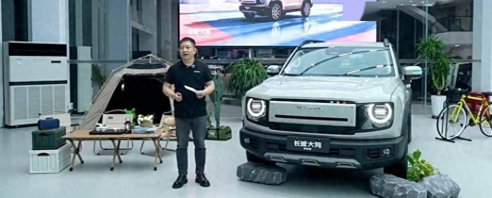 “方盒子”仅售10.59万！长城大狗混动版带NOA，硬派省油两全其美_搜狐汽车_搜狐网