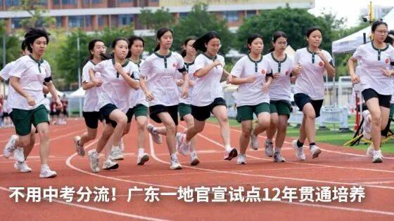 王楚钦 vs 魏世皓