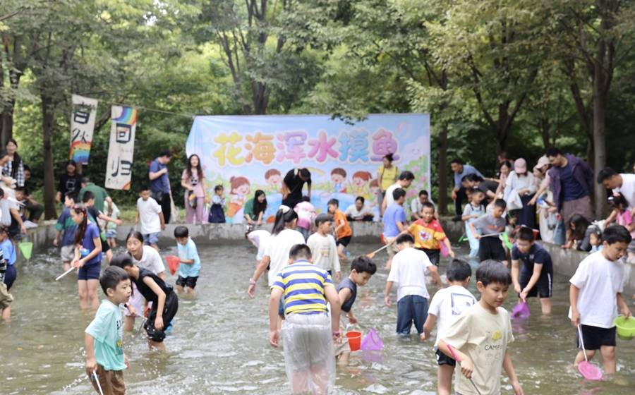 国庆别挤人堆！上海郊野花海浑水摸鱼，60