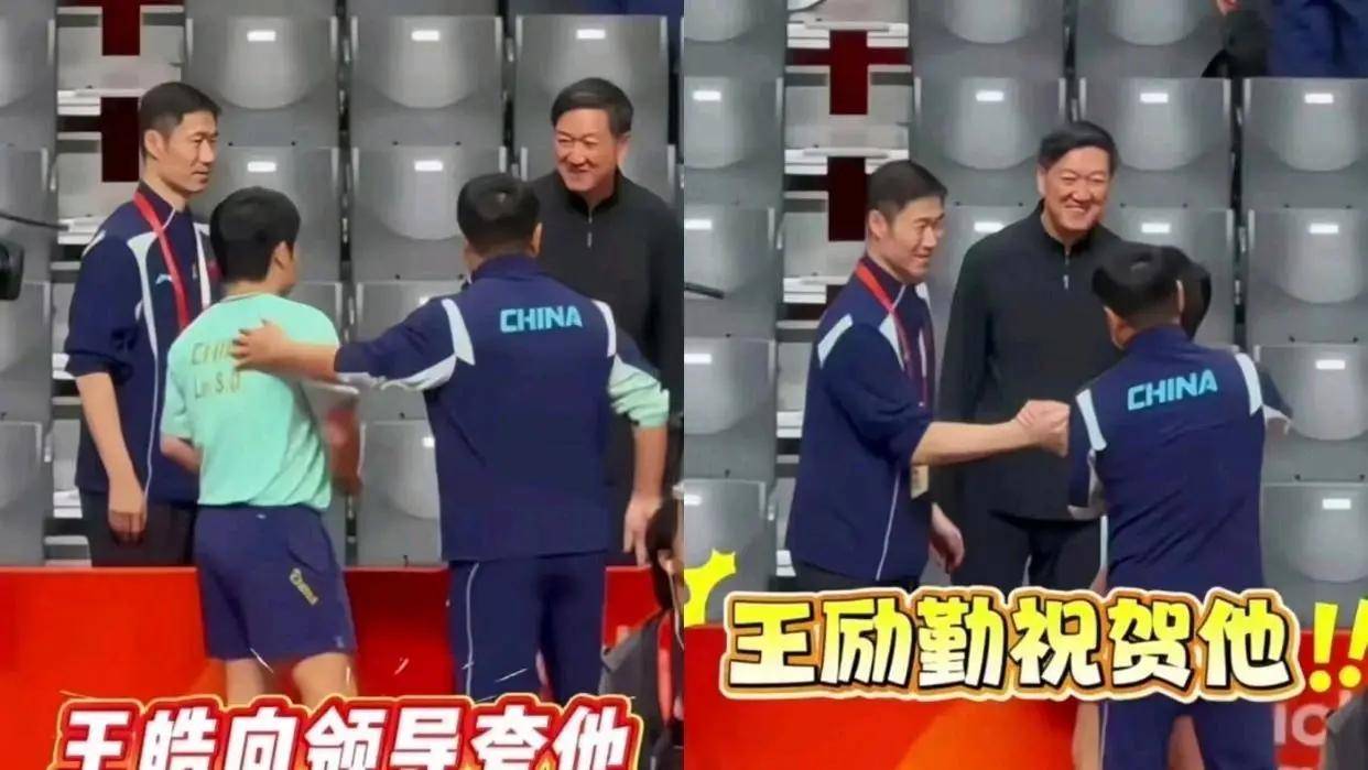 破旧立新！王励勤推动国乒深度改革，打破资历人情壁垒