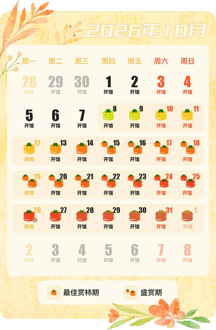 丹柿小院的柿子树__丹柿小院在哪个位置