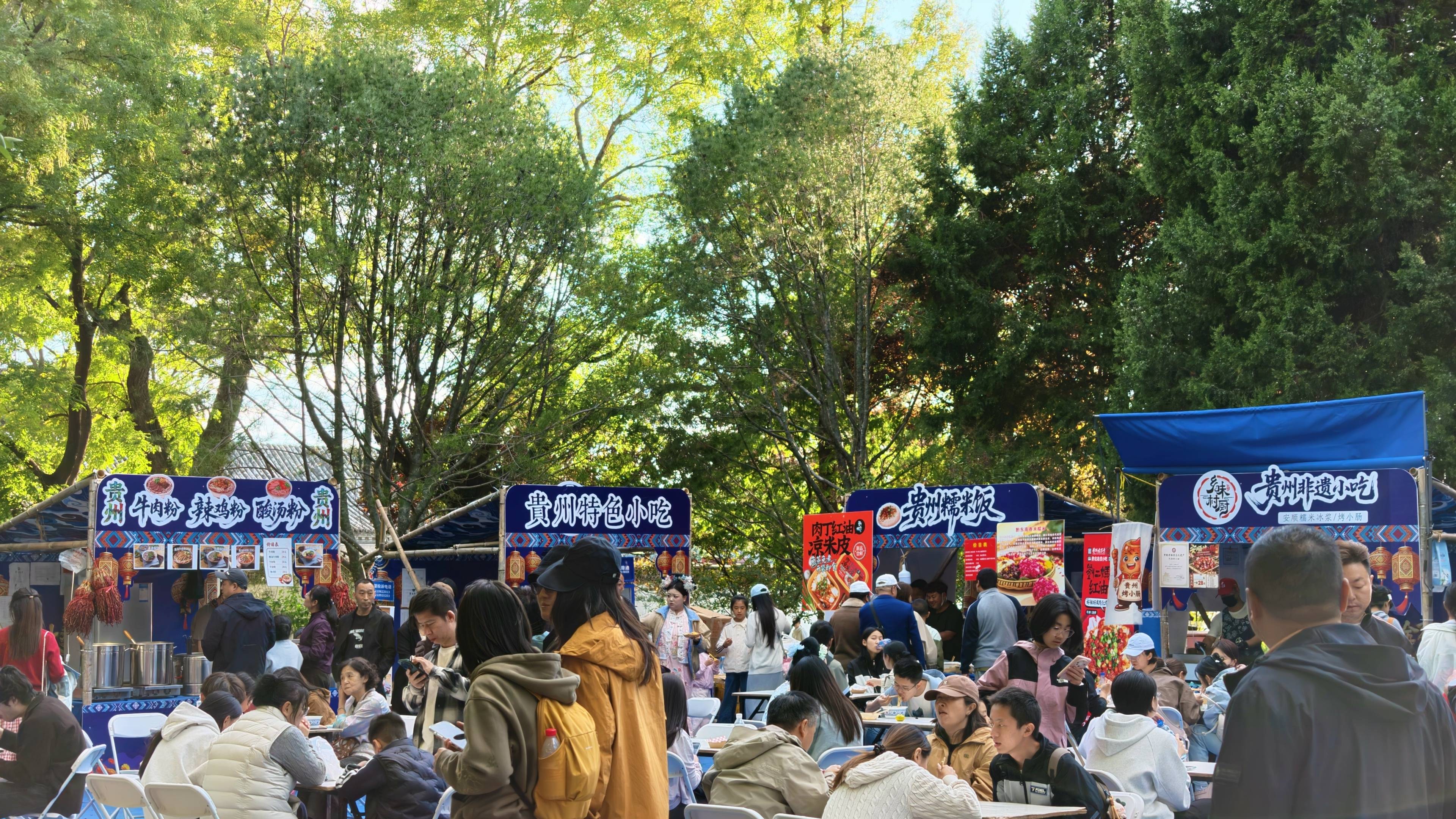 _秋日游园的感悟_秋日观察龙泉湖公园