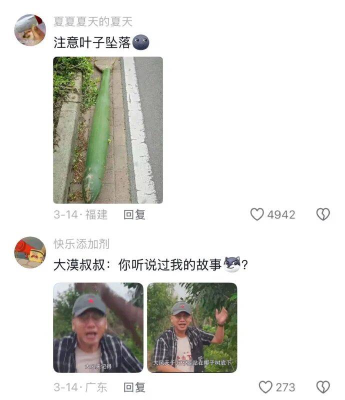 果然南方只有人小，其他什么都大！[11P]