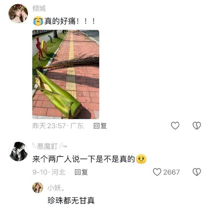 果然南方只有人小，其他什么都大！[11P]