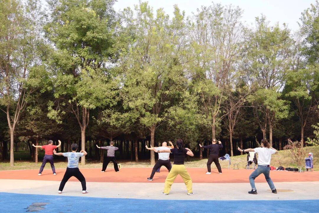 秋日森林秘境怎么打_秋日秘境图片_