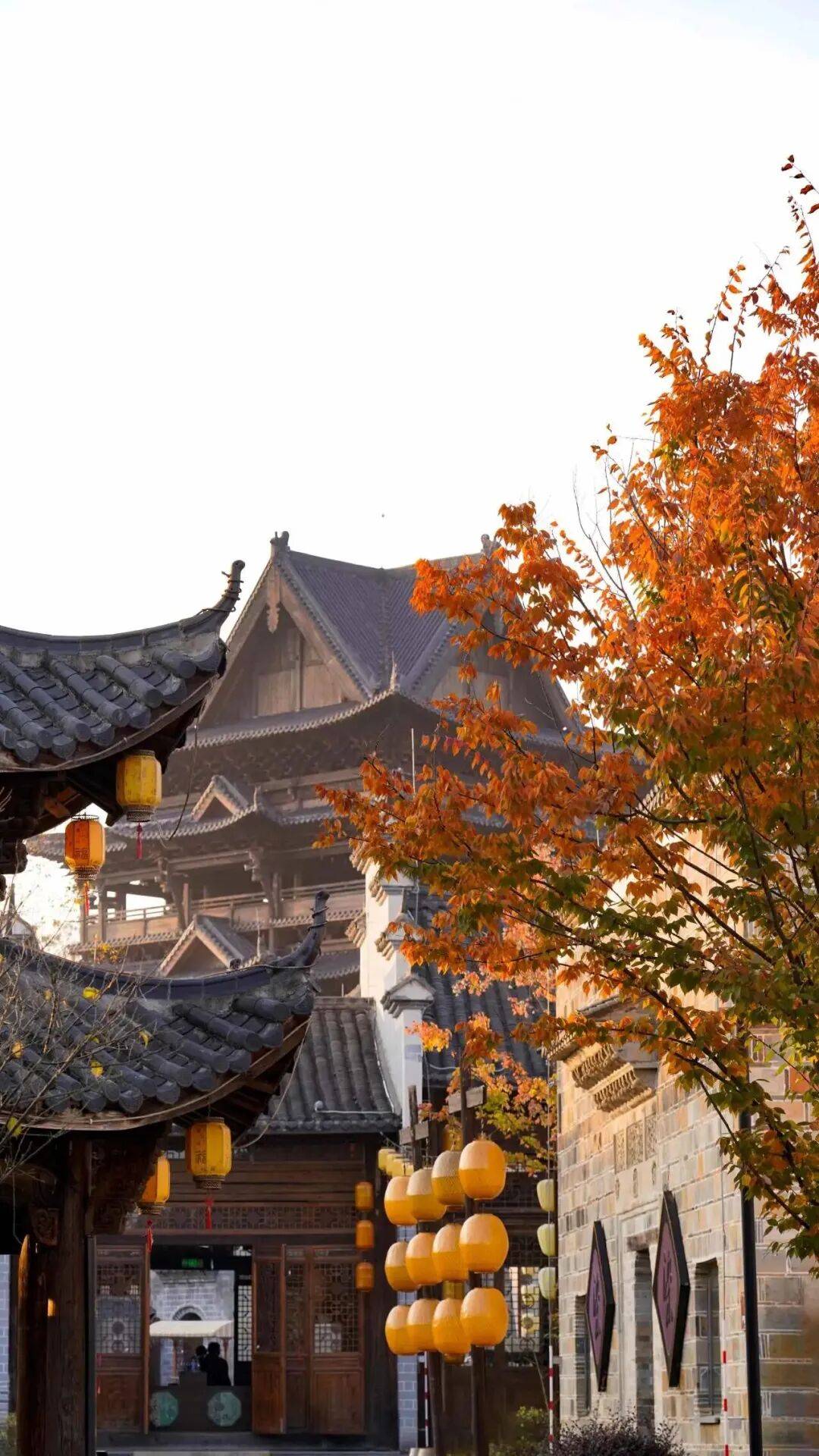 秋游大武夷｜建阳秋日美景正在加载中(图14)
