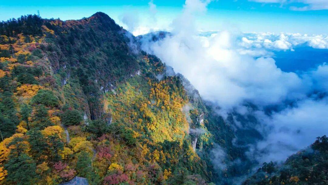 峨眉山秋景即将达到巅峰，还有秋季徒步限定奖牌等你来挑战(图6)