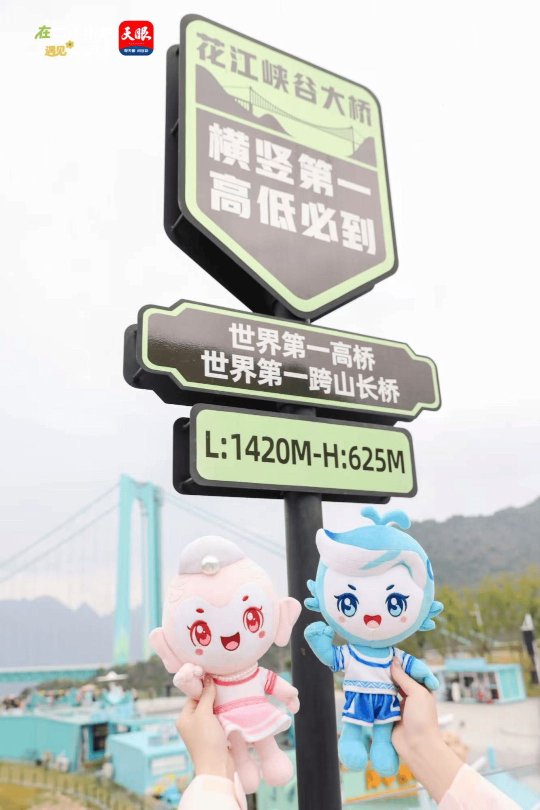 花江峡谷大桥怎么玩？796米观光廊道+高空跳伞，贵州桥旅融合新地标(图2)
