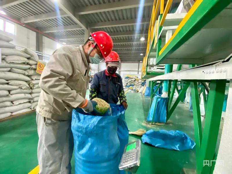 苏青协作牵起山海缘 湟源乡土产业跑出加速度