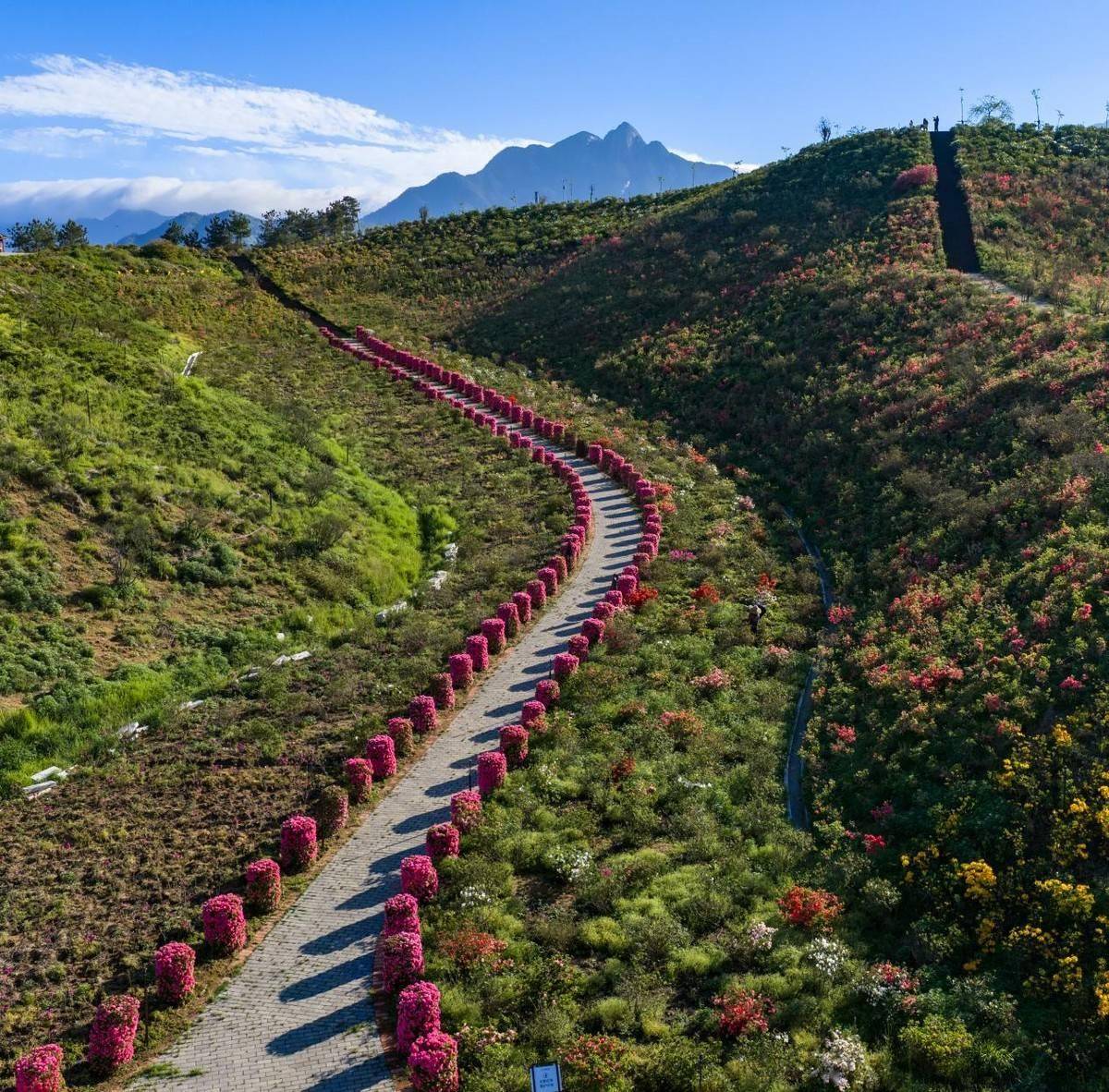 罗田大别山摄影大赛2026启动，11个月全球征稿，赢文旅创作大奖(图14)