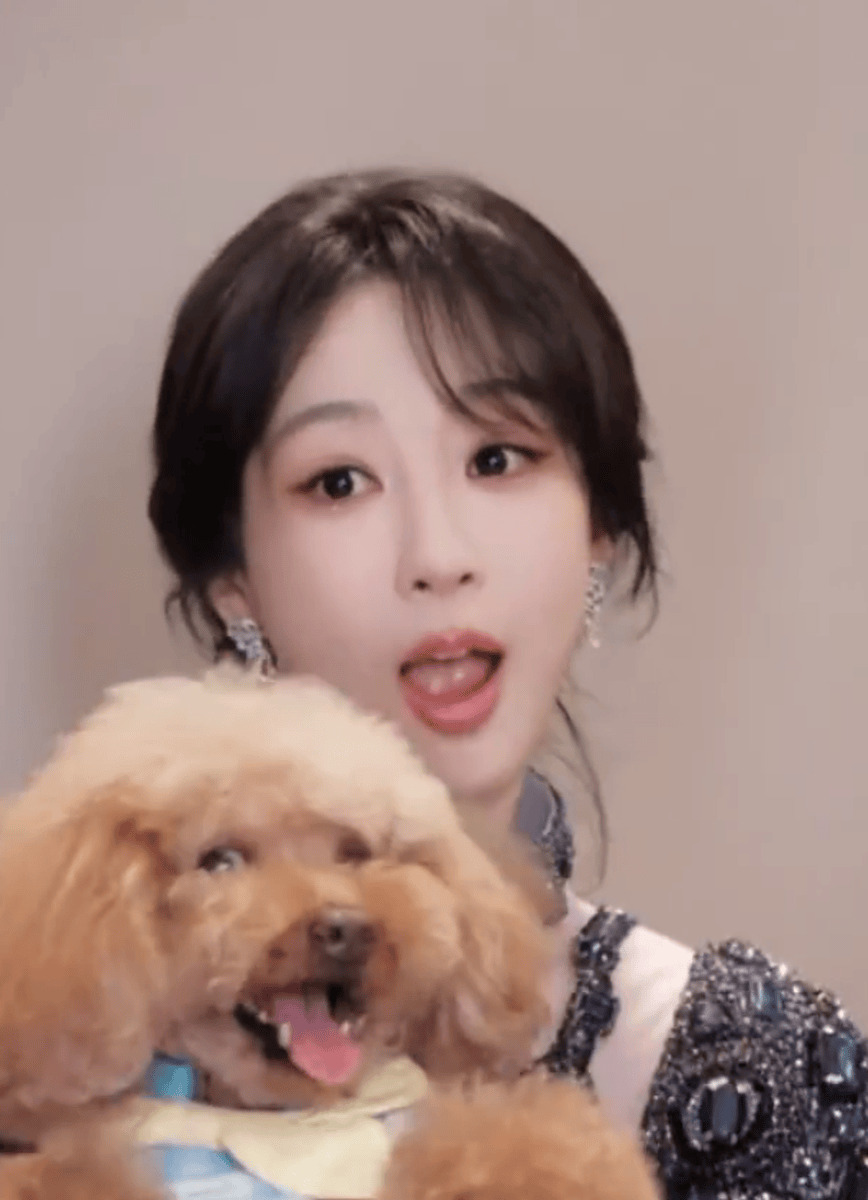杨紫与宠物狗小piu亲密贴贴合影！画面温馨有爱